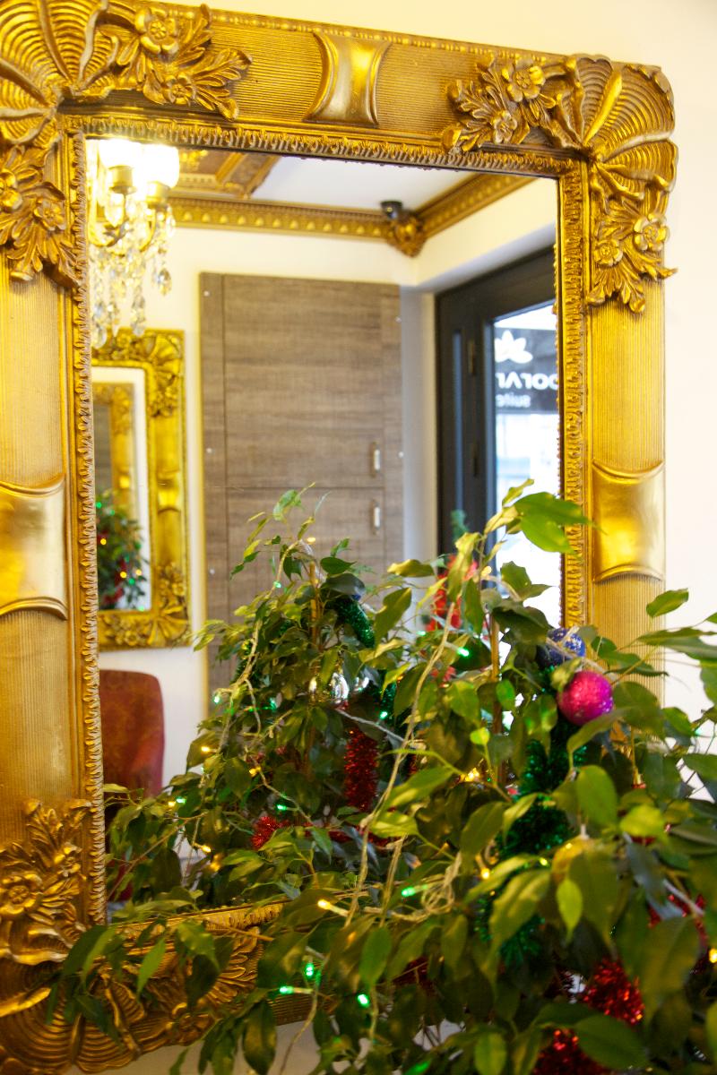 Borancik Suites - Lobi