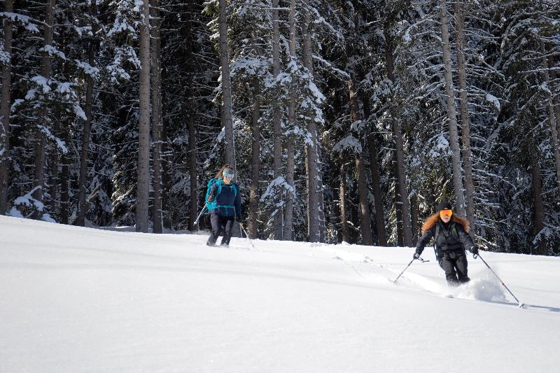 Ecrin Blanc Courchevel Resort - Aktivite