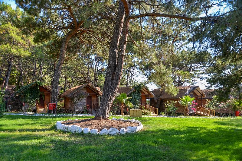 Sea Valley Lodge - Genel