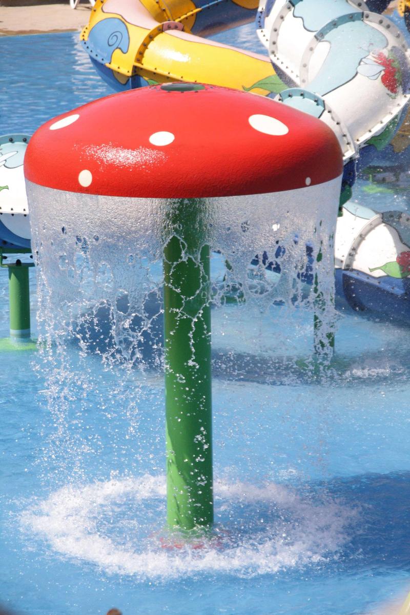 Reef Oasis Beach Resort - Aktivite