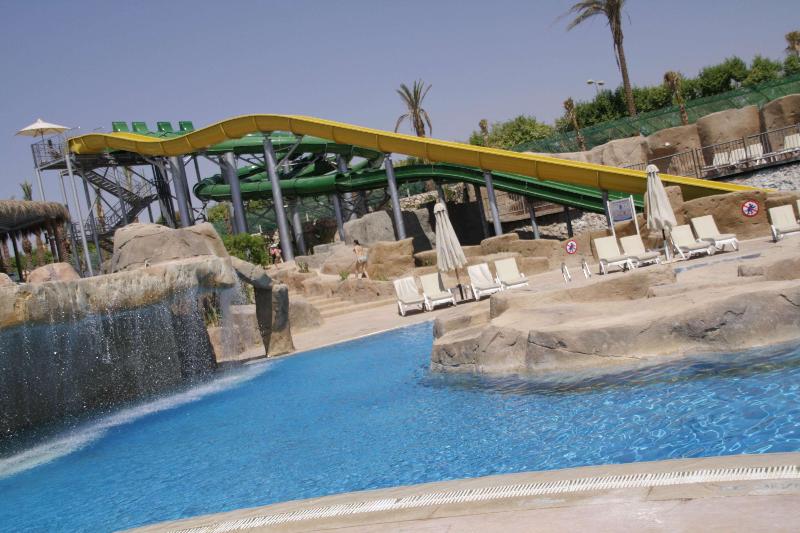 Reef Oasis Beach Resort - Aktivite