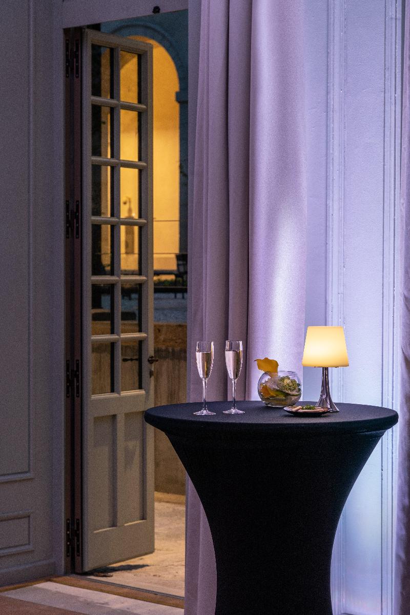 InterContinental Lyon - Hotel Dieu - Toplantı