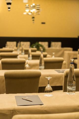 Kyniska Palace Conference & Spa fotoÄŸrafÄ±