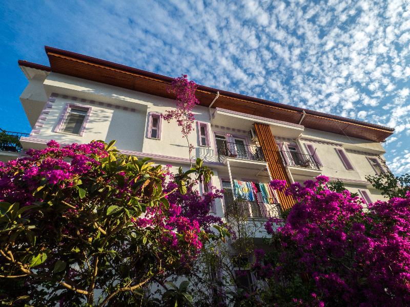 Hotel Hideaway - Genel