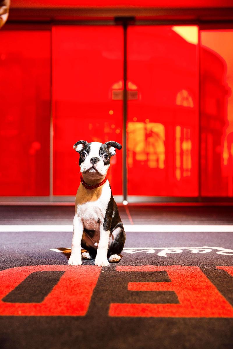 Radisson RED Hotel, Glasgow - Lobi