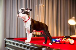 Radisson RED Hotel, Glasgow fotoÄŸrafÄ±