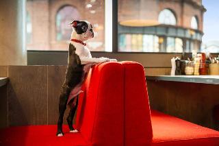Radisson RED Hotel, Glasgow fotoÄŸrafÄ±