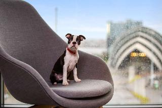 Radisson RED Hotel, Glasgow fotoÄŸrafÄ±