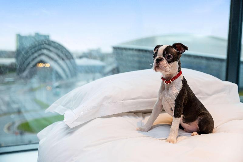 Radisson RED Hotel, Glasgow - Oda