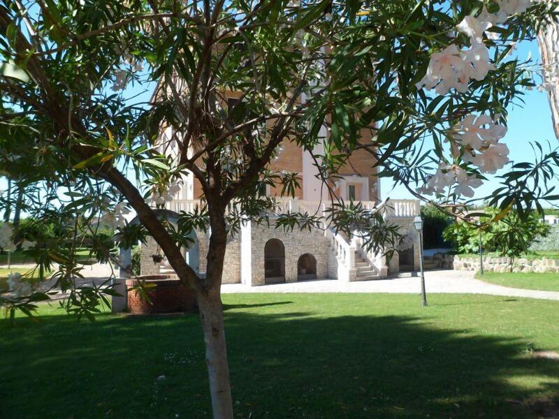 Villamaria Park Hotel - Genel