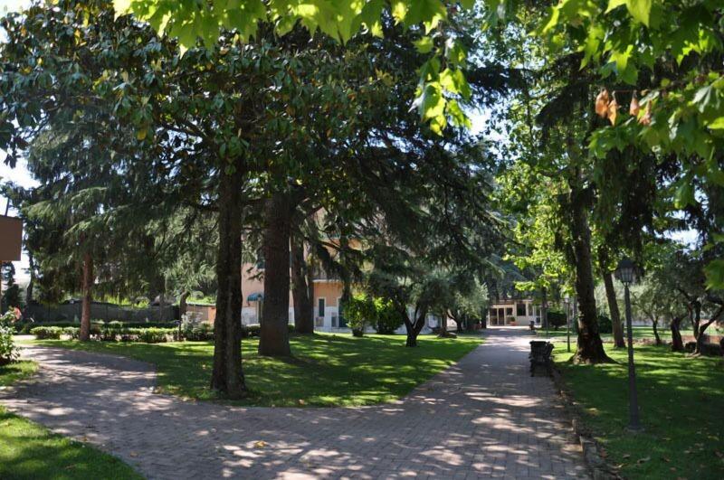 Villamaria Park Hotel - Genel