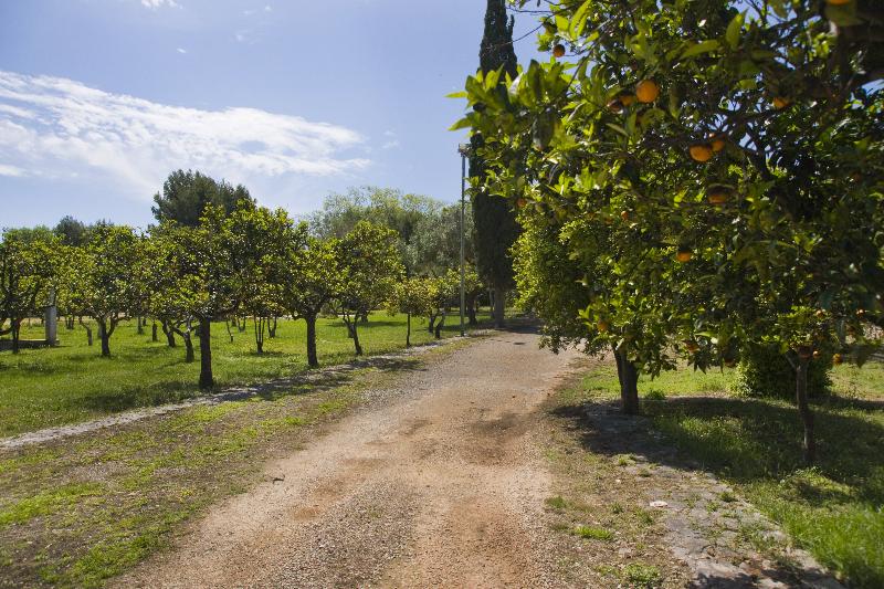 Masseria Zanzara - Genel