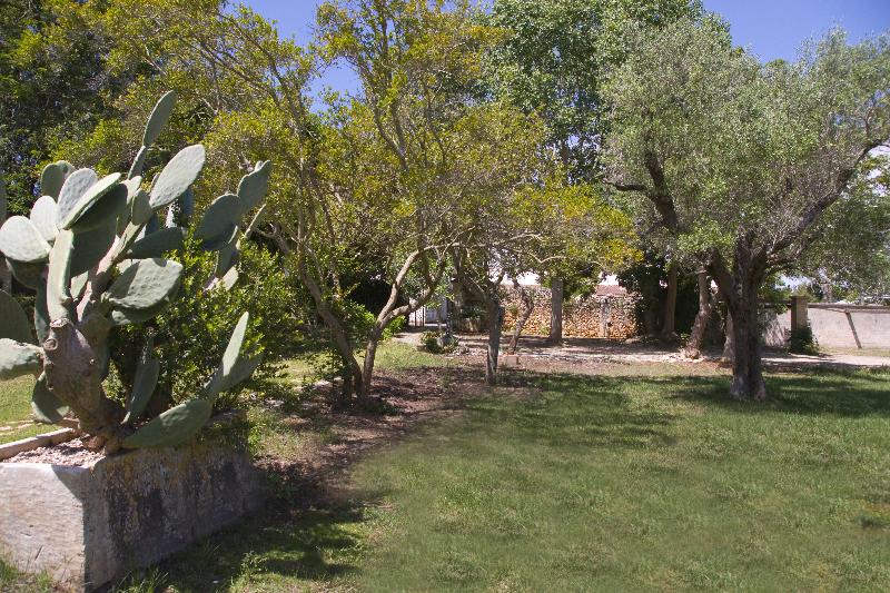 Masseria Zanzara - Genel