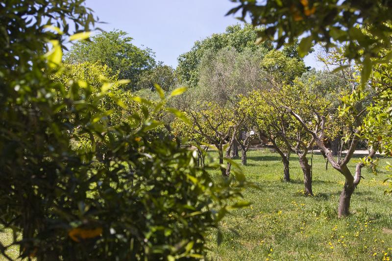 Masseria Zanzara - Genel
