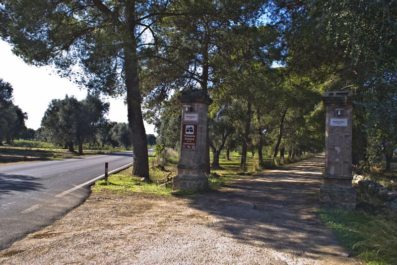 Masseria Zanzara - Genel