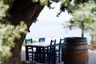Maya Bistro Hotel Beach fotoÄŸrafÄ±