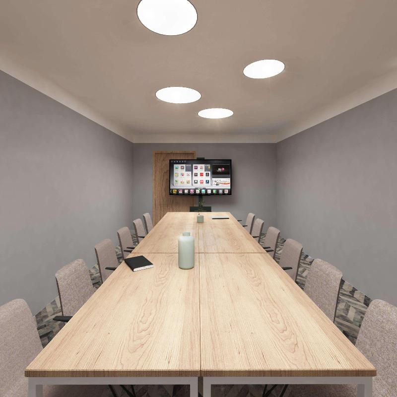 Hilton Garden Inn Bucharest Airport - Toplantı