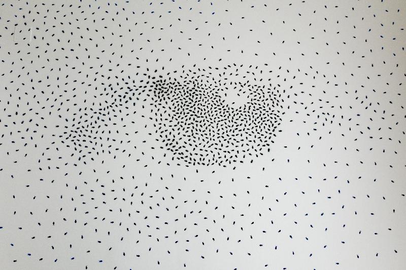Afea Art & Rooms - Oda