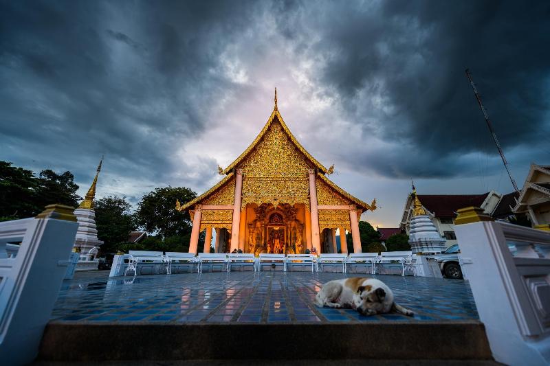 Pastell Oldtown Chiang Mai - Genel