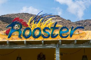 Rooster Guesthouse Rooms otel fotoğrafı