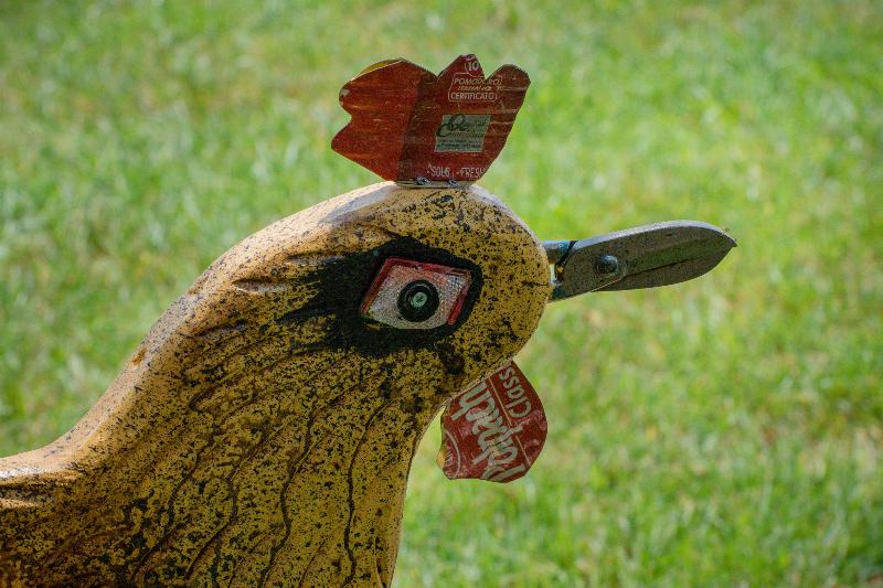 Rooster Guesthouse Rooms - Genel