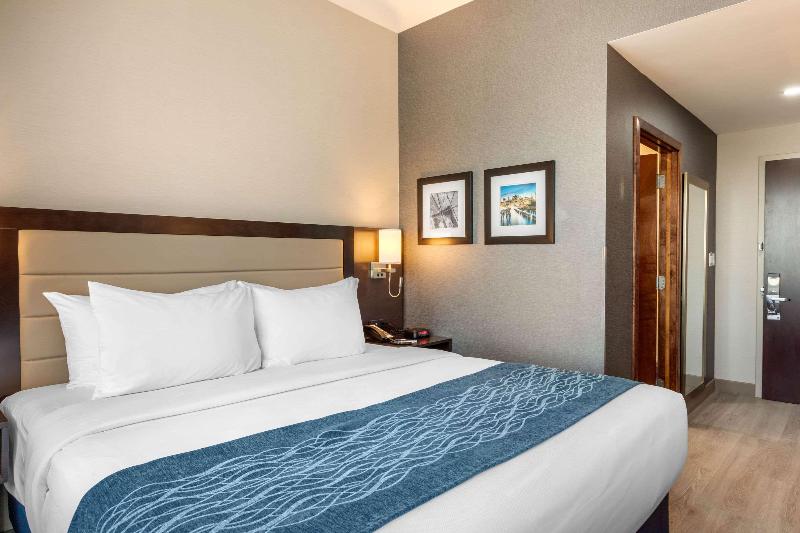 Comfort Inn Prospect Park Brooklyn - Oda