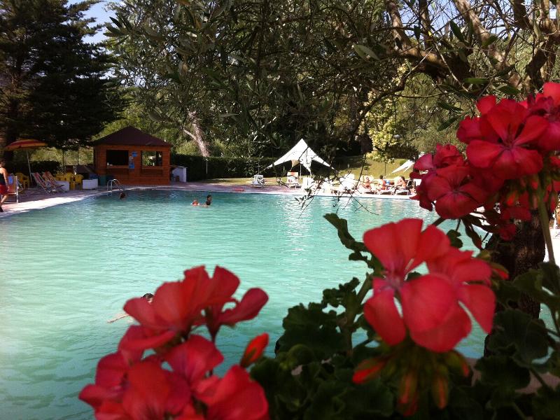Terme Forlenza - Genel