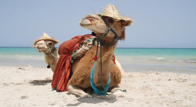 Jerba Sun Club - Plaj