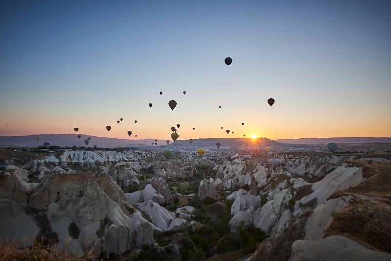 Wings Cappadocia - Genel