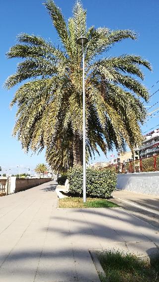 Terrassa De Mar Apartament fotoÄŸrafÄ±