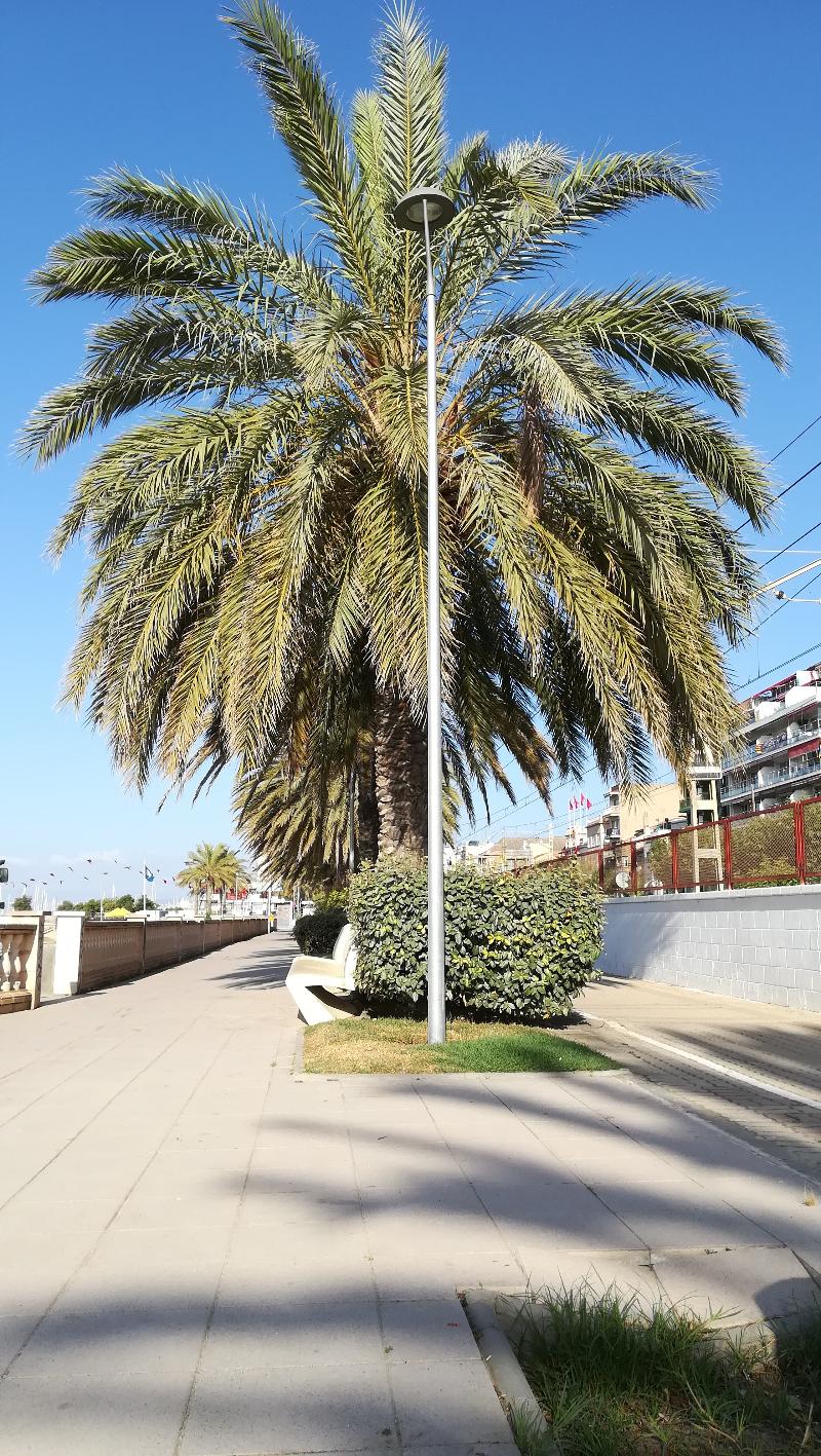 Terrassa De Mar Apartament - Plaj