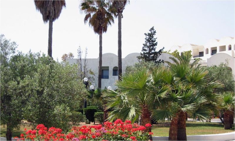 Hannibal Palace - Teras