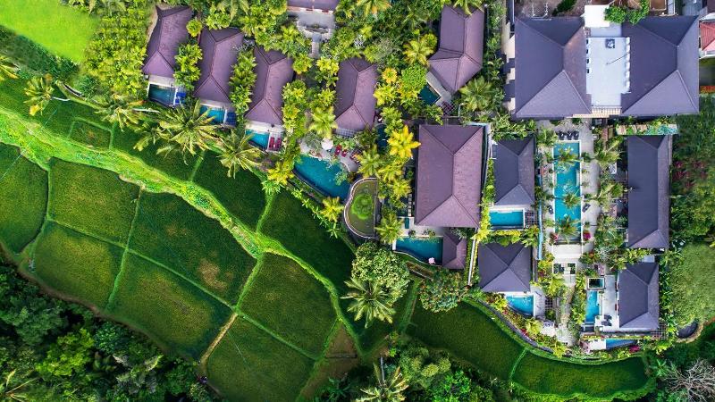 Dwaraka The Royal Villas - Ubud - Genel