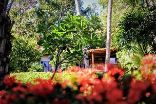 Alpha Gay Resort & Spa - Adult only 19+ fotoÄŸrafÄ±