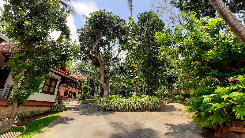 Alpha Gay Resort & Spa - Adult only 19+ - Genel