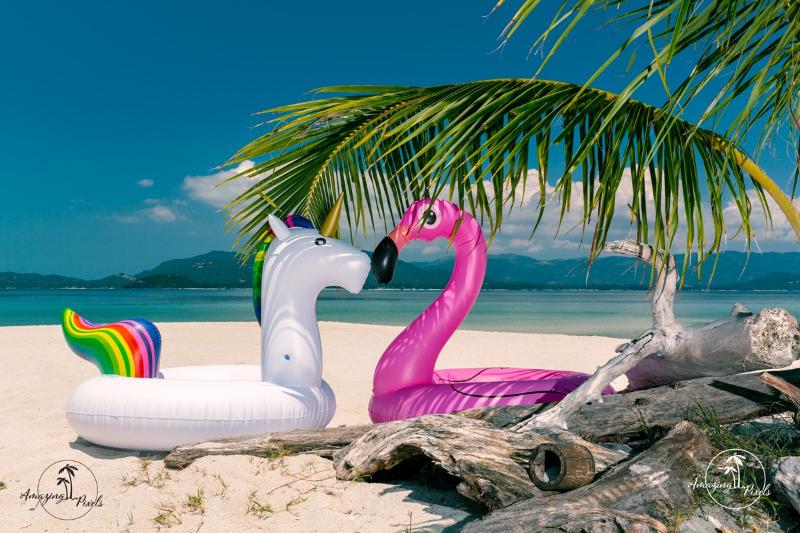 Alpha Gay Resort & Spa - Adult only 19+ - Plaj