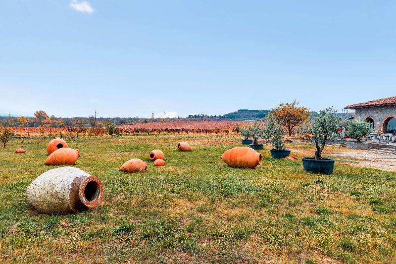 Radisson Collection Hotel, Tsinandali Est Georgia - Toplantı