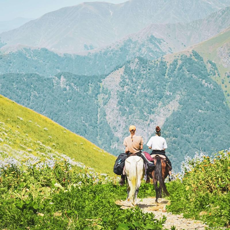 Radisson Collection Hotel, Tsinandali Est Georgia - Genel