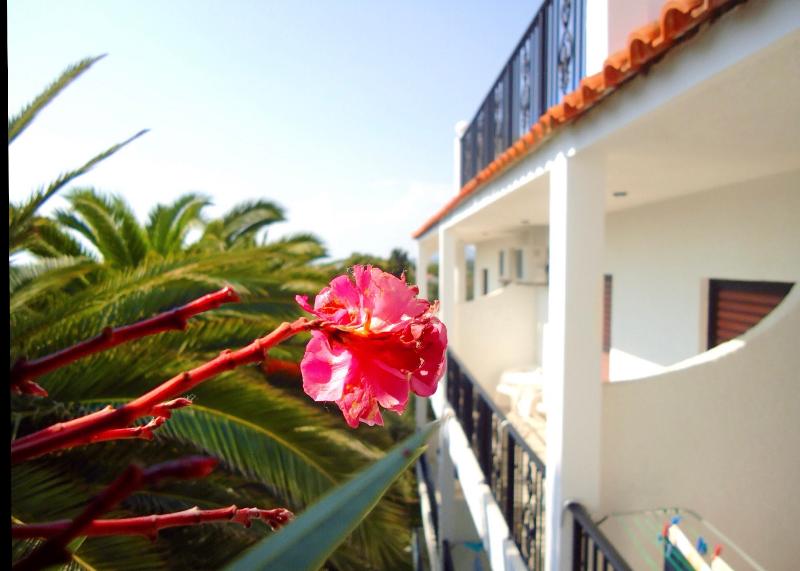 Ionian Suites By Bruskos - Teras