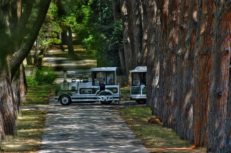 Brijuni Hotel Istra - Aktivite