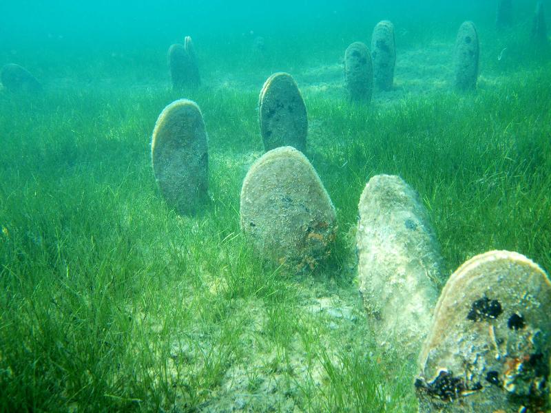 Brijuni Hotel Neptun - Aktivite
