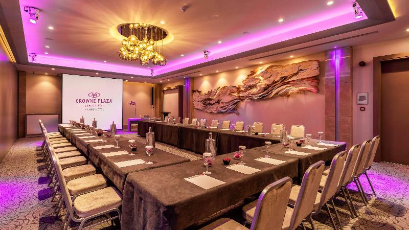 Crowne Plaza Limassol - Toplantı