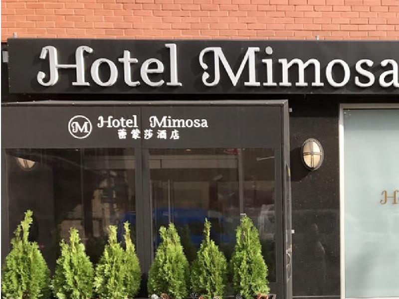 Hotel Mimosa - Genel