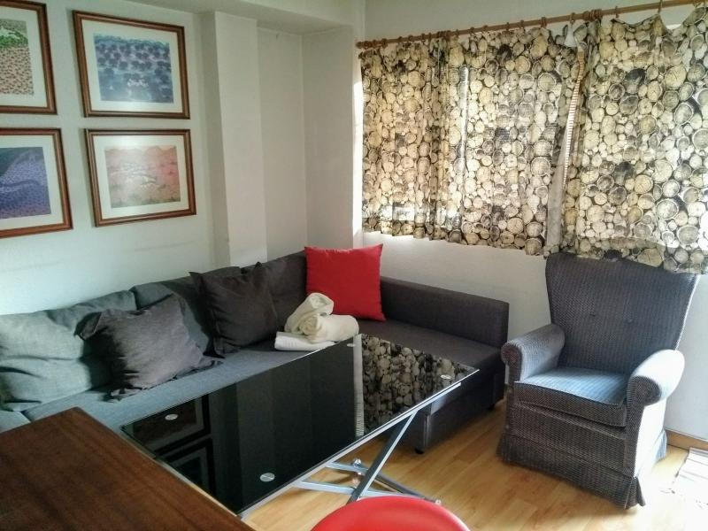 Apartamentos Todosierranevada - Zona Baja - Oda