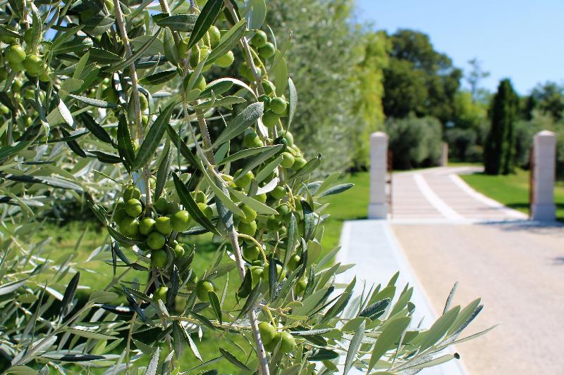 Borgo Romantico Green Wine Relais - Genel