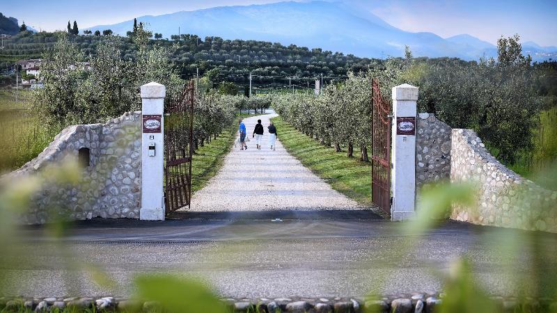 Borgo Romantico Green Wine Relais - Genel