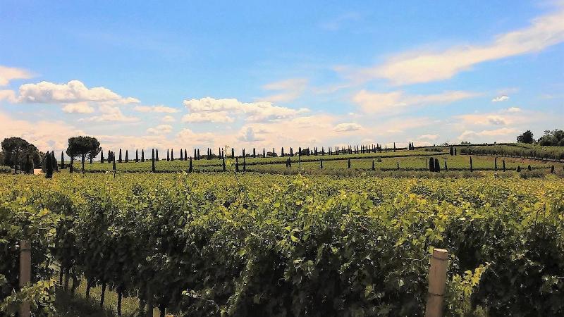 Borgo Romantico Green Wine Relais - Genel