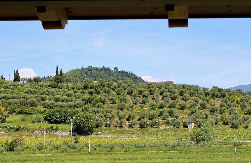 Borgo Romantico Green Wine Relais - Oda