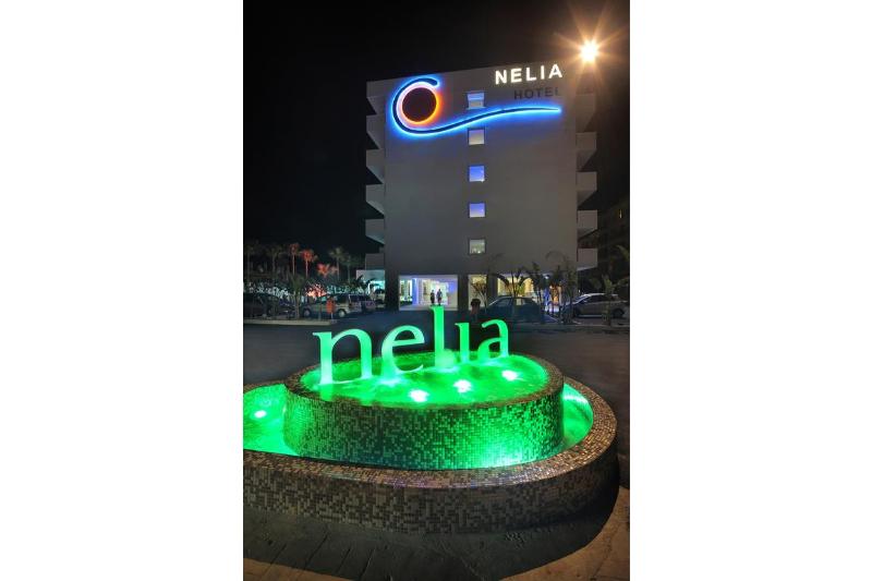 Nelia Beach Hotel & Spa - Genel