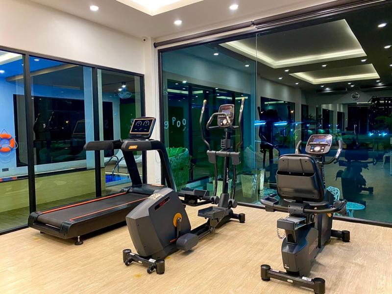 The Vet Boutique Hotel - Aktivite